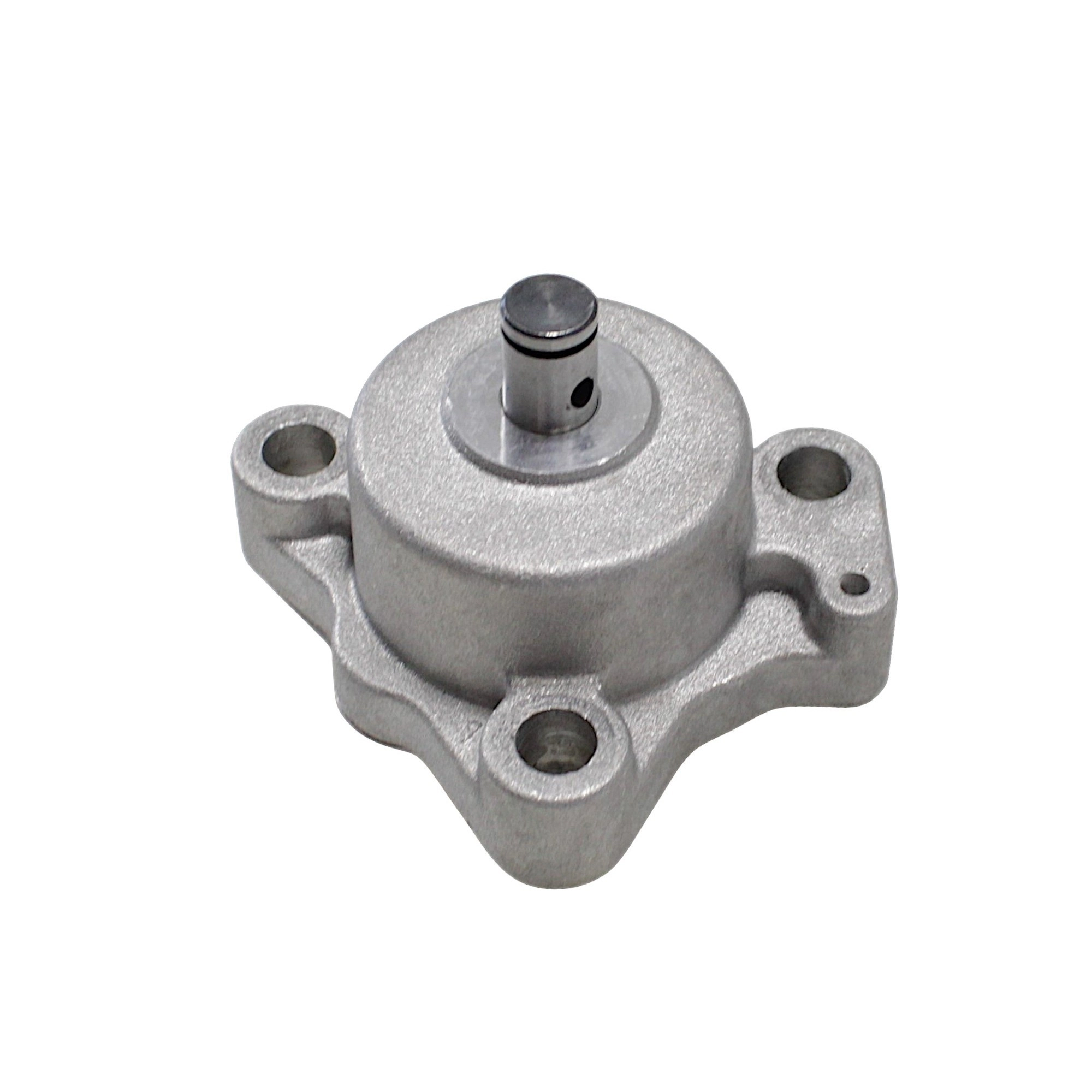 QJ MOTOR SRV 250 VS YAĞ POMPASI #RK 66237